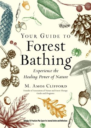 Your Guide To Forest Bathing