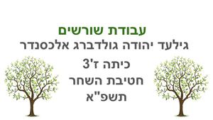 גילעד יהודה גולדברג אלכס מצגת שורשים (3)