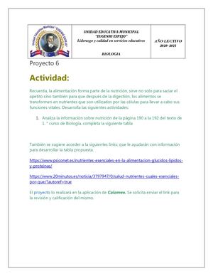 Productos Organicos E Inorganicos