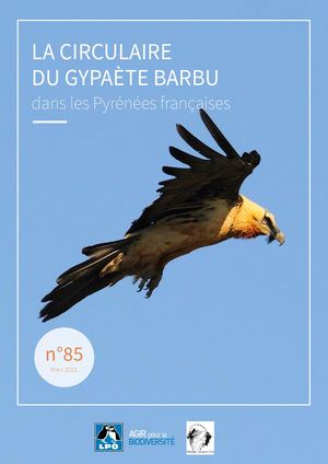 Circulaire Gypaète barbu 03/2021