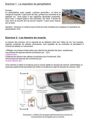 Exercice 1 Périophtalme Compressed