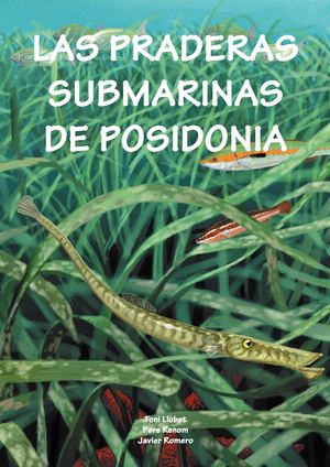 Cuento Praderas Submarinas Posidonia