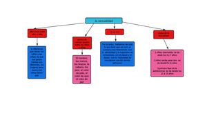 Mapa Conceptual Sexualidad 5°