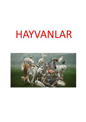 Hayvanlar Dergi̇si̇