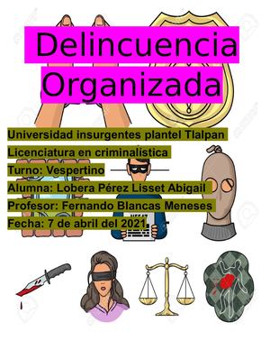 Delincuencia Organizada
