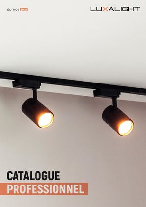Catalogue Professionel 2021 Luxalight