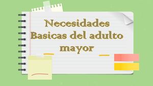Necesidades Básicas del Adulto Mayor