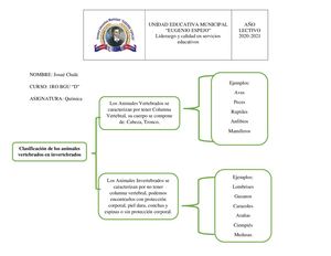 Cuadro Sinóptico Sobre La Clasificación De Los Animales Vertebrados En Invertebrados