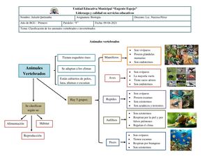 Clasificación De Los Animales Vertebrados E Invertebrados (09 04 2021)