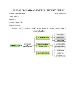 Clasificación De Lo Vertebrados E Invertebrados