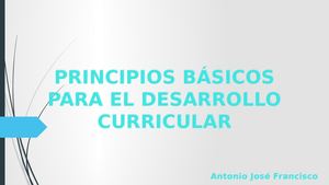 PRINCIPIOS DEL DISEÑO CURRICULAR