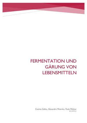 Lebensmittelherstellung Fermentatio Paula Cosima Alexandra