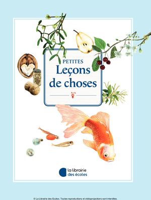 Petites leçons de choses