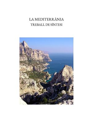 Treball De Síntesis(2)