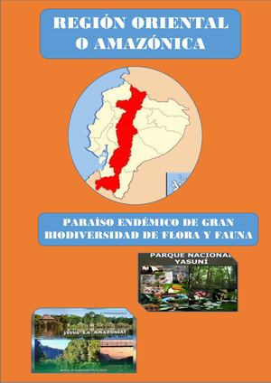 Revista Región Oriental Docx