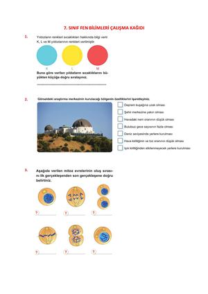 7 Sinif 8 12 Mart Calisma Kagidi