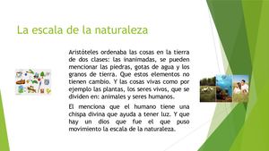 La Escala De La Naturaleza