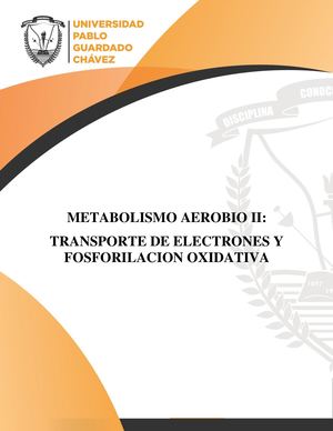 Unidad 03 Metabolismo Aerobio ll