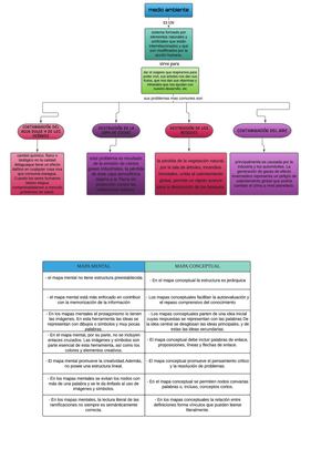Mapa Conceptual Mi Tema