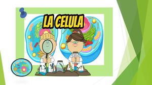 Contenidos Tematicos #1 La Cèlula 1