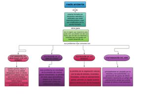 Mapa Conceptual Info