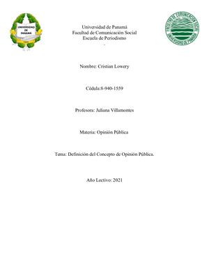 Definiciones De Opinion Publica