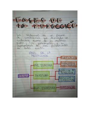 Fases De La Redaccion L Coherencia Y Cohesión