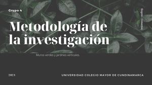 Blanco Negro Planti Corner Planta Negocio Presentación