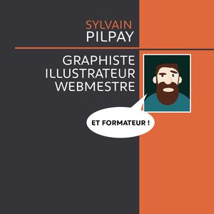 Portfolio Infographiste Sylvain Pilpay