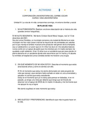 Formato Mi Plan De Vida Unidad 3