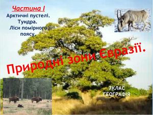 ПРИРОДНІ ЗОНИ ІЧ