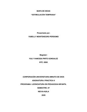 Mapa De Ideas De Practica Ii Convertido