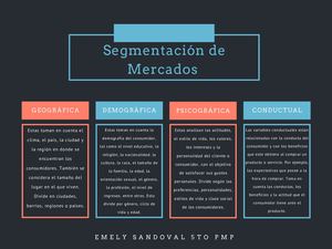 Mapa Conceptual Segmentación De Mercados Emely Sandoval 5to Pmp