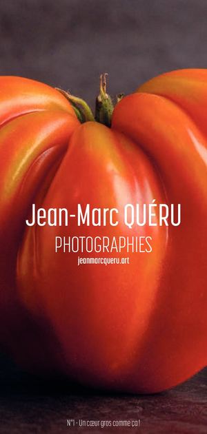 Jean Marc Quéru Dépliant