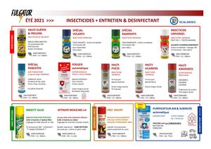 Fulgator 2021 V1 - SCALANDES