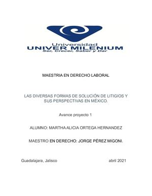 Ensayo Formas De Litigios