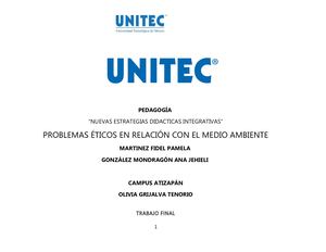 Trabajo Final Nuevas Estrategias