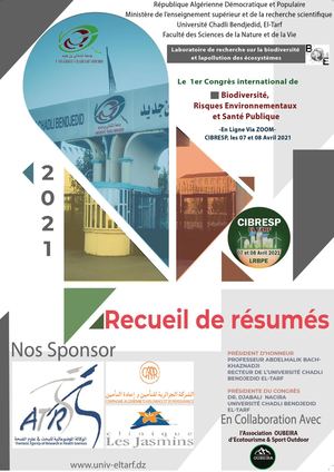 Recueil De Résumés