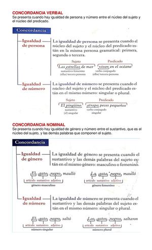 CONCORDANCIA VERBAL Y NOMINAL .