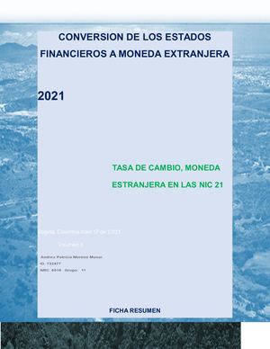 Conversion De Los Estados Financieros A Moneda Extranjera