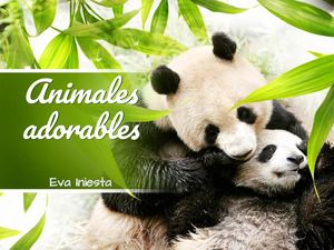 Animales Cuquis Presentación