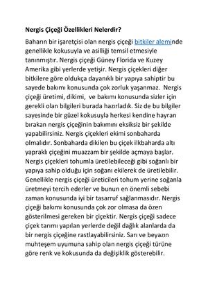 Nergis Çiçeği Özellikleri Nelerdir?