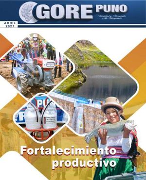 GOBIERNO REGIONAL PUNO