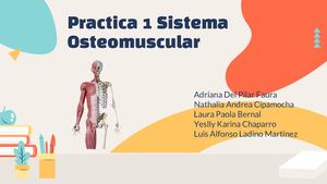 Sistema Osteomuscular