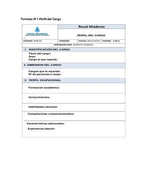 Formato Perfil De Cargo