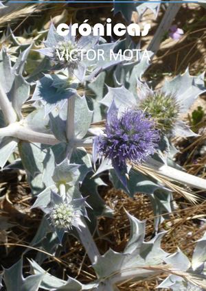 Crónicas
