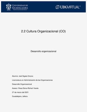 2 2 Cultura Organizacional (Co) Pdf