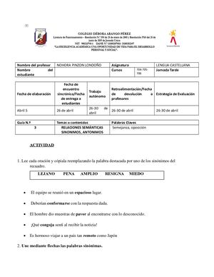 Guia N° 3 Sinonimos Y Antónimos