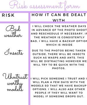 Risk Assessment Form