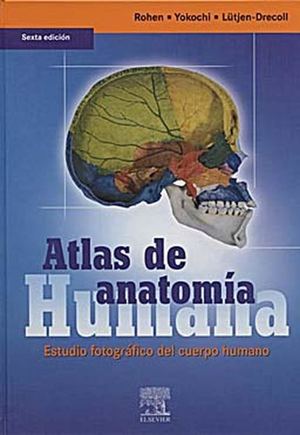 Atlas De Anatomia Humana (1)